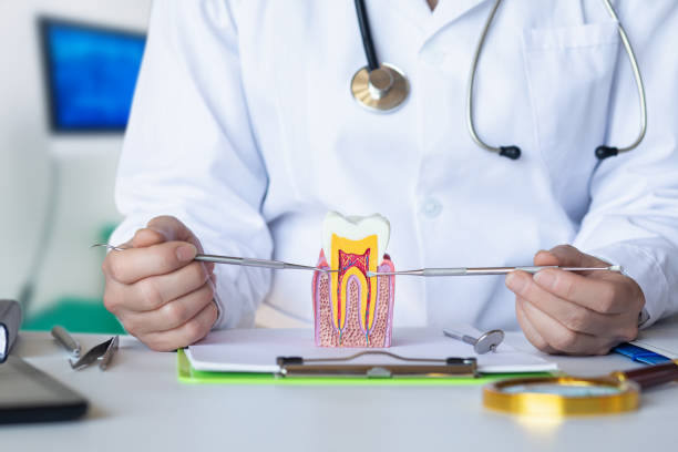 Best Emergency Dentist for Lost Fillings or Crowns in Westvale, NY